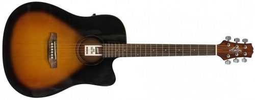 Ashton D20CEQ Barva: TSB (tabákový sunburst)