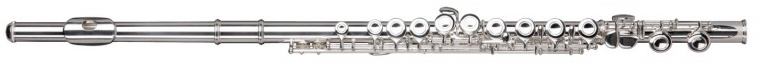 Classic Cantabile FL-200