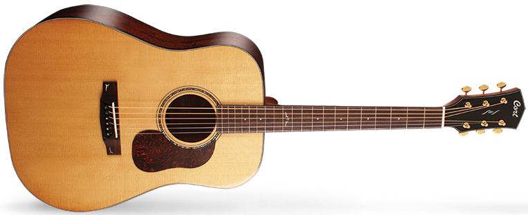 Cort Gold-D6