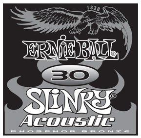 Ernie Ball 1830