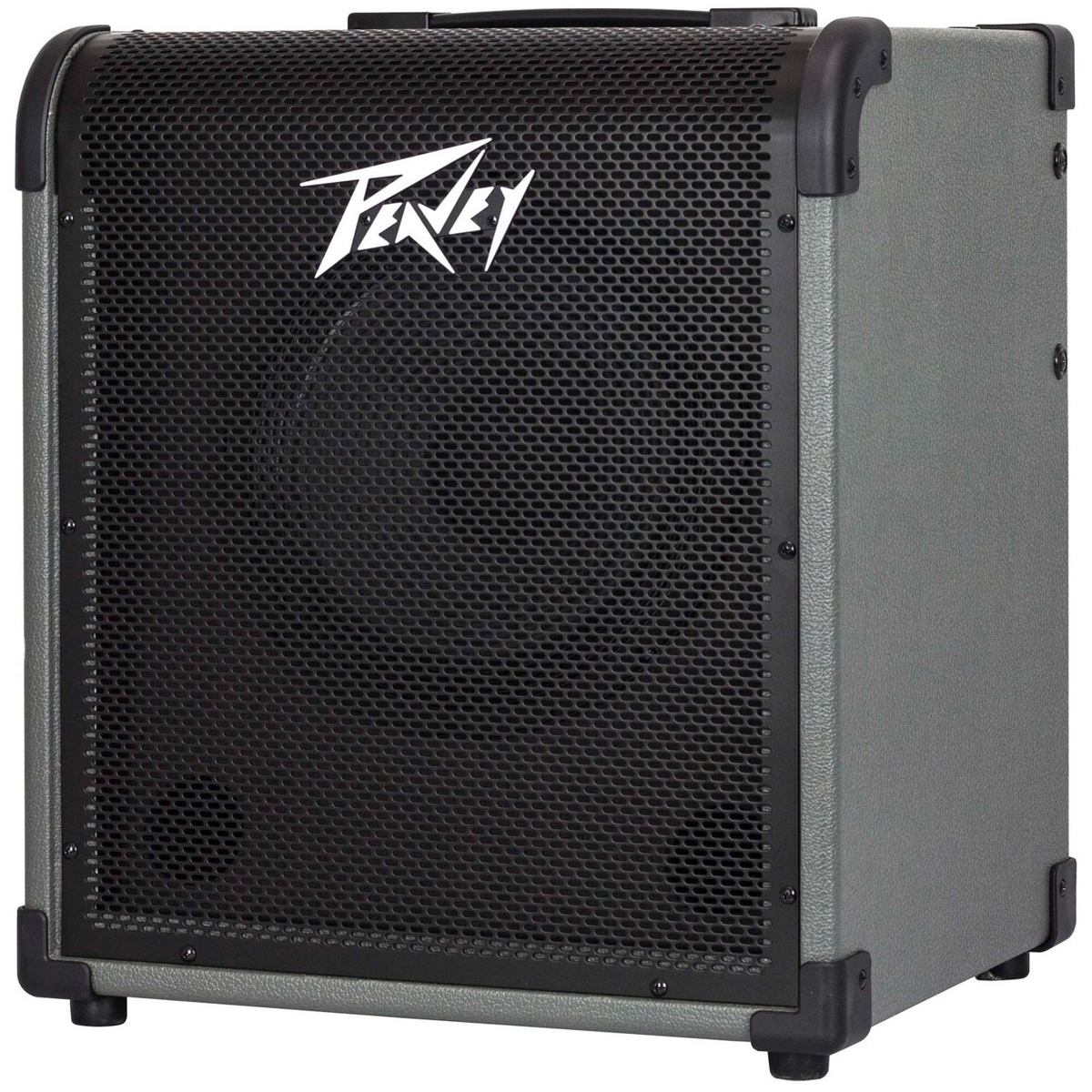 Peavey MAX 100
