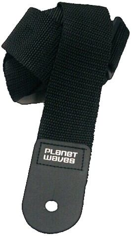 Planet Waves PWS100