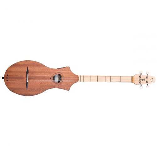 Seagull M4 Mahogany EQ