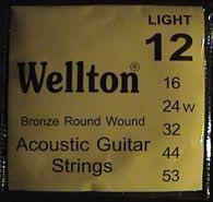 Wellton ACB-12